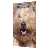 Portret van Soft Coated Wheaten Terrier Klembord (Links)