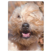Portret van Soft Coated Wheaten Terrier Klembord (Achterkant)