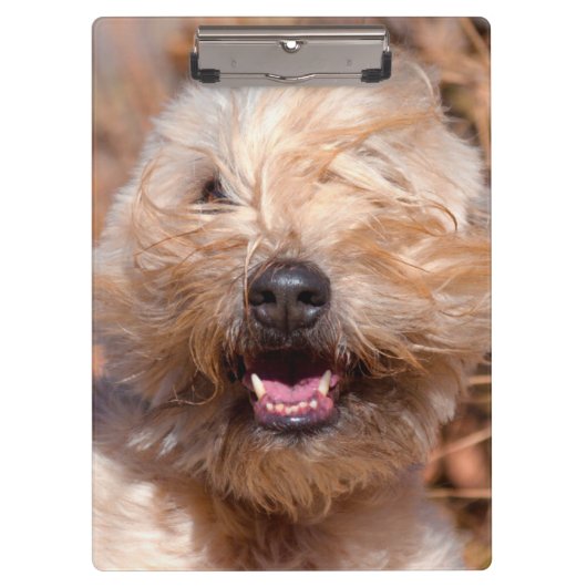 Portret van Soft Coated Wheaten Terrier Klembord (Voorkant)