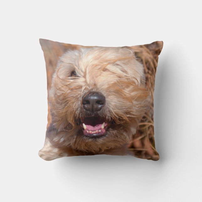 Portret van Soft Coated Wheaten Terrier Kussen (Voorkant)