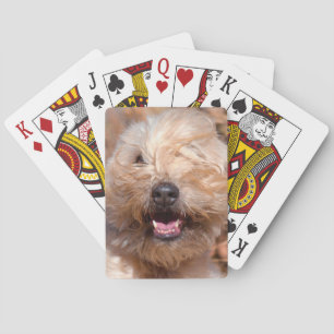 Portret van Soft Coated Wheaten Terrier Pokerkaarten