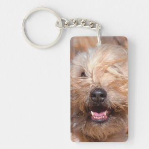 Portret van Soft Coated Wheaten Terrier Sleutelhanger