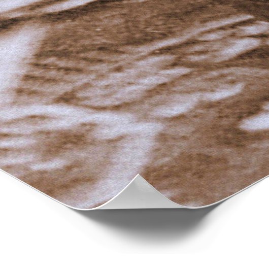 Portret van Sojourner Truth circa 1870 Poster (Hoek)