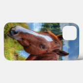 Portret van Sorrel Mare & Schilderachtig meer van  Case-Mate iPhone Case (Achterkant (horizontaal))