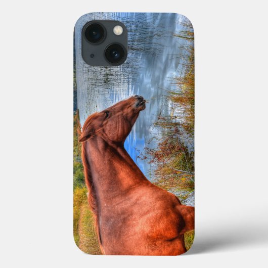 Portret van Sorrel Mare & Schilderachtig meer van  Case-Mate iPhone Case (Achterkant)