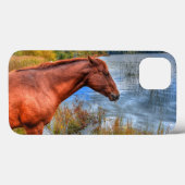 Portret van Sorrel Mare & Schilderachtig meer van  Case-Mate iPhone Case (Achterkant (horizontaal))
