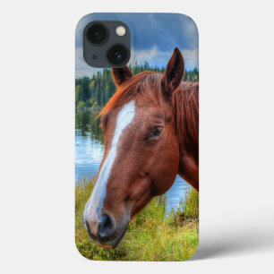 Portret van Sorrel Mare & Schilderachtig meer van  Case-Mate iPhone Case