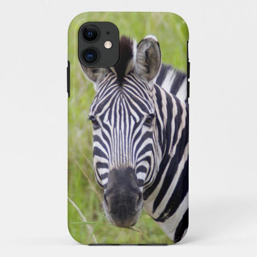 Portret van steppezebra, Hluhluwe-Umfolozi wildres Case-Mate iPhone Case (Achterkant)