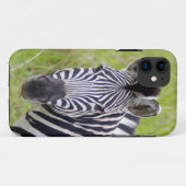 Portret van steppezebra, Hluhluwe-Umfolozi wildres Case-Mate iPhone Case (Achterkant (horizontaal))