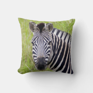 Portret van steppezebra, Hluhluwe-Umfolozi-wildres Kussen