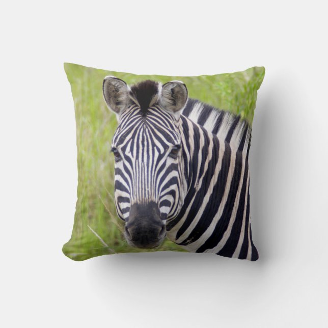Portret van steppezebra, Hluhluwe-Umfolozi-wildres Kussen (Voorkant)