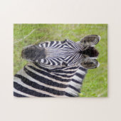 Portret van steppezebra, Hluhluwe-Umfolozi wildres Legpuzzel (Horizontaal)