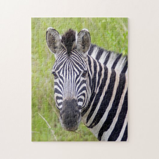 Portret van steppezebra, Hluhluwe-Umfolozi wildres Legpuzzel (Verticaal)