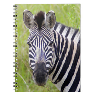 Portret van steppezebra, Hluhluwe-Umfolozi wildres Notitieboek