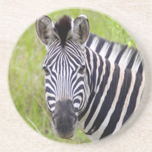 Portret van steppezebra, Hluhluwe-Umfolozi wildres Zandsteen Onderzetter