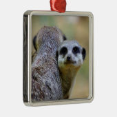 Portret van stokstaartjes of suricata's   metalen ornament (Rechts)