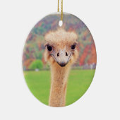 Portret van struisvogels keramisch ornament (Rechts)