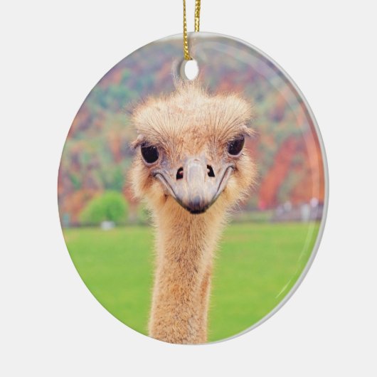 Portret van struisvogels keramisch ornament (Links)