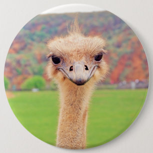 Portret van struisvogels ronde button 6,0 cm