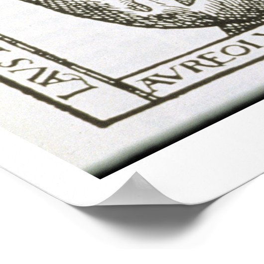 Portret van Theothrastus Paracelsus (1493-1541), c Poster (Hoek)