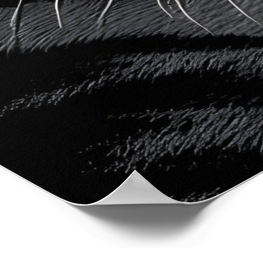 Portret van tijger poster (Hoek)