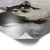 Portret van twee chihuahua's foto afdruk (Hoek)