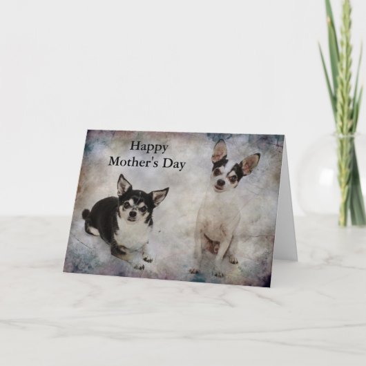 Portret van twee chihuahua's kaart (Voorkant)