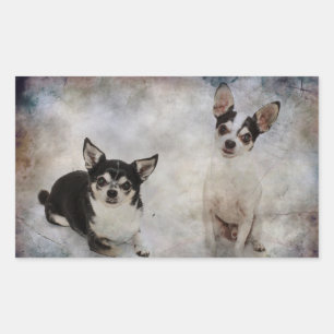 Portret van twee chihuahua's rechthoekige sticker