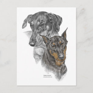 Portret van Twee Dobermans Briefkaart