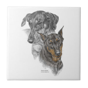 Portret van Twee Dobermans Tegeltje