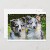 Portret van twee jonge schelpdieren briefkaart (Voorkant / Achterkant)