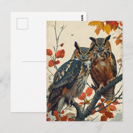 portret van twee uilen briefkaart (Voorkant / Achterkant)