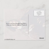 Portret van Vincenzo Mosti door Titiaan Briefkaart (Achterkant)