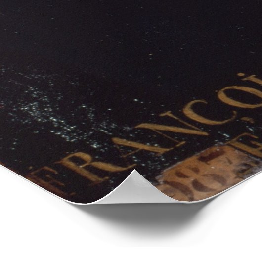 Portret van Voltaire Poster (Hoek)