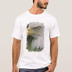 Portret van volwassen Amerikaanse zeearend, Haliae T-shirt
