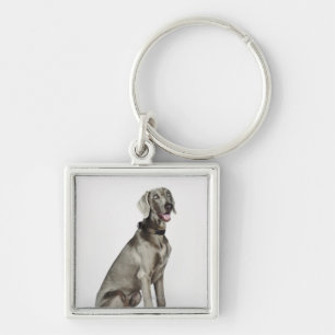 Portret van Weimaraner-hond Sleutelhanger