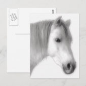 Portret van White Arabian Horse Briefkaart (Voorkant / Achterkant)