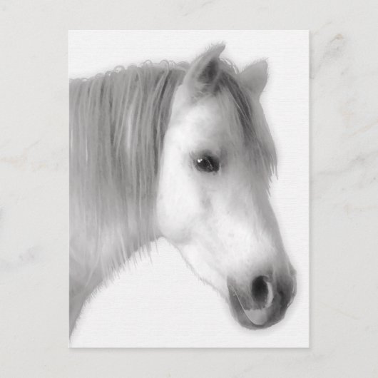 Portret van White Arabian Horse Briefkaart (Voorkant)