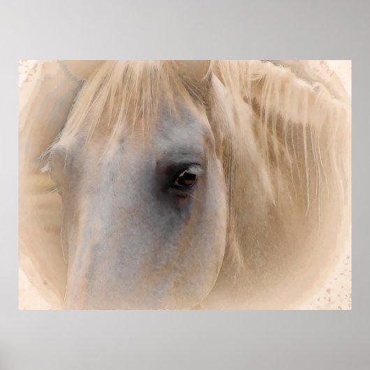Portret van White Horse Poster (Voorkant)
