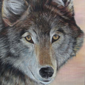 portret van wild met grijze wolf legpuzzel