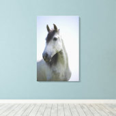 Portret van wit paard 3 canvas afdruk (Insitu (Houten vloer))