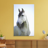 Portret van wit paard 3 canvas afdruk (Insitu (Woonkamer))