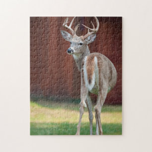 Portret van witstaarthert, Missoula, Montana Legpuzzel