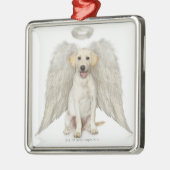 Portret van witte labrador, die draagt metalen ornament (Links)