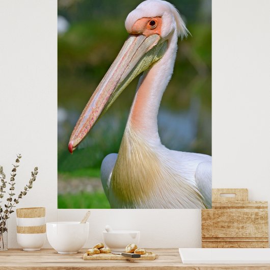 Portret van witte pelikaan poster (Keuken)