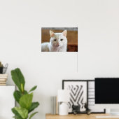 Portret van witte Turkse angorakat Poster (Thuiskantoor)