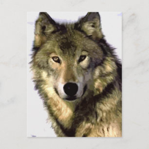 Portret van Wolf Post Card Briefkaart