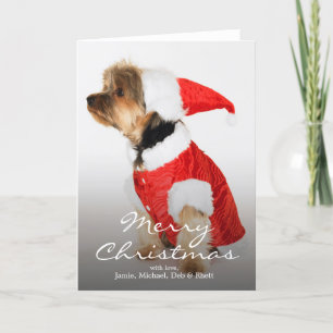Portret van Yorkshire Terrier die het Pet van de Feestdagen Kaart