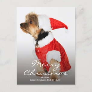 Portret van Yorkshire Terrier met Santa Hat Feestdagenkaart
