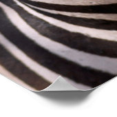Portret van zebra poster (Hoek)